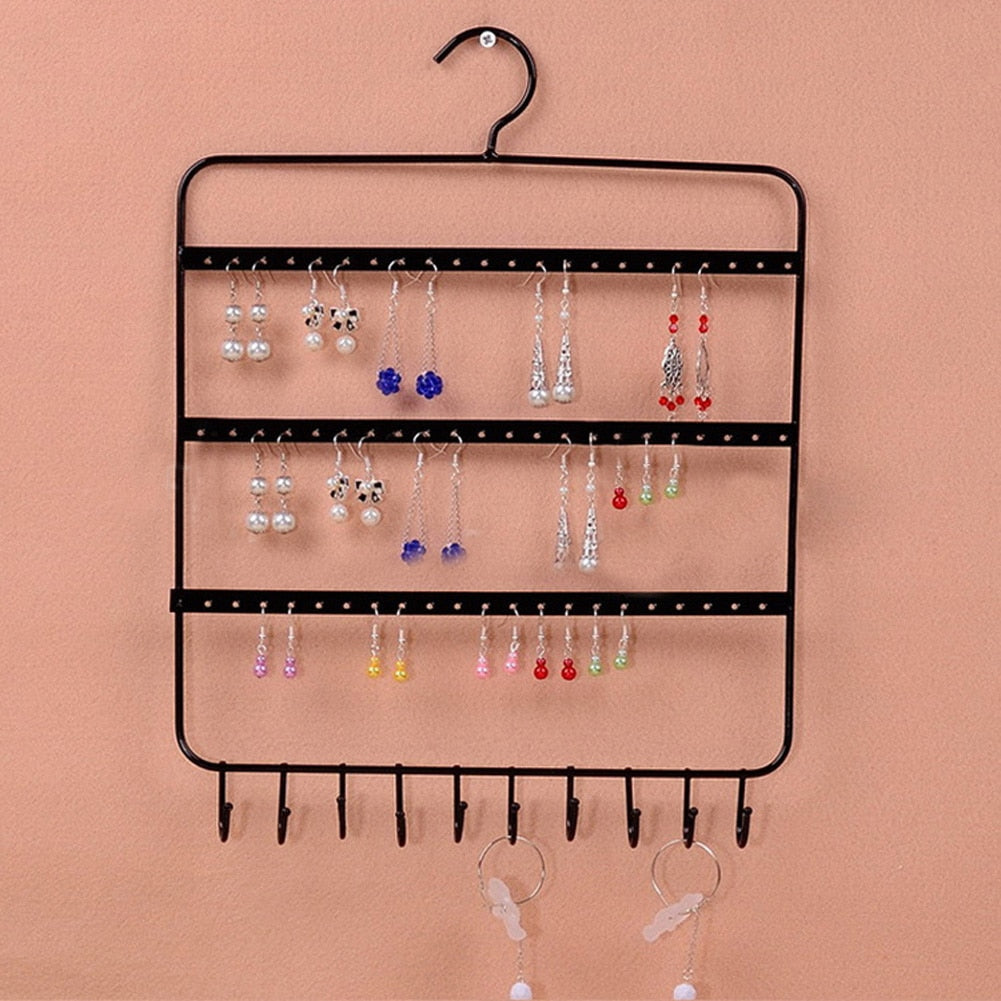 Earring and necklace Organizer with 66 Holes and 10 Hooks